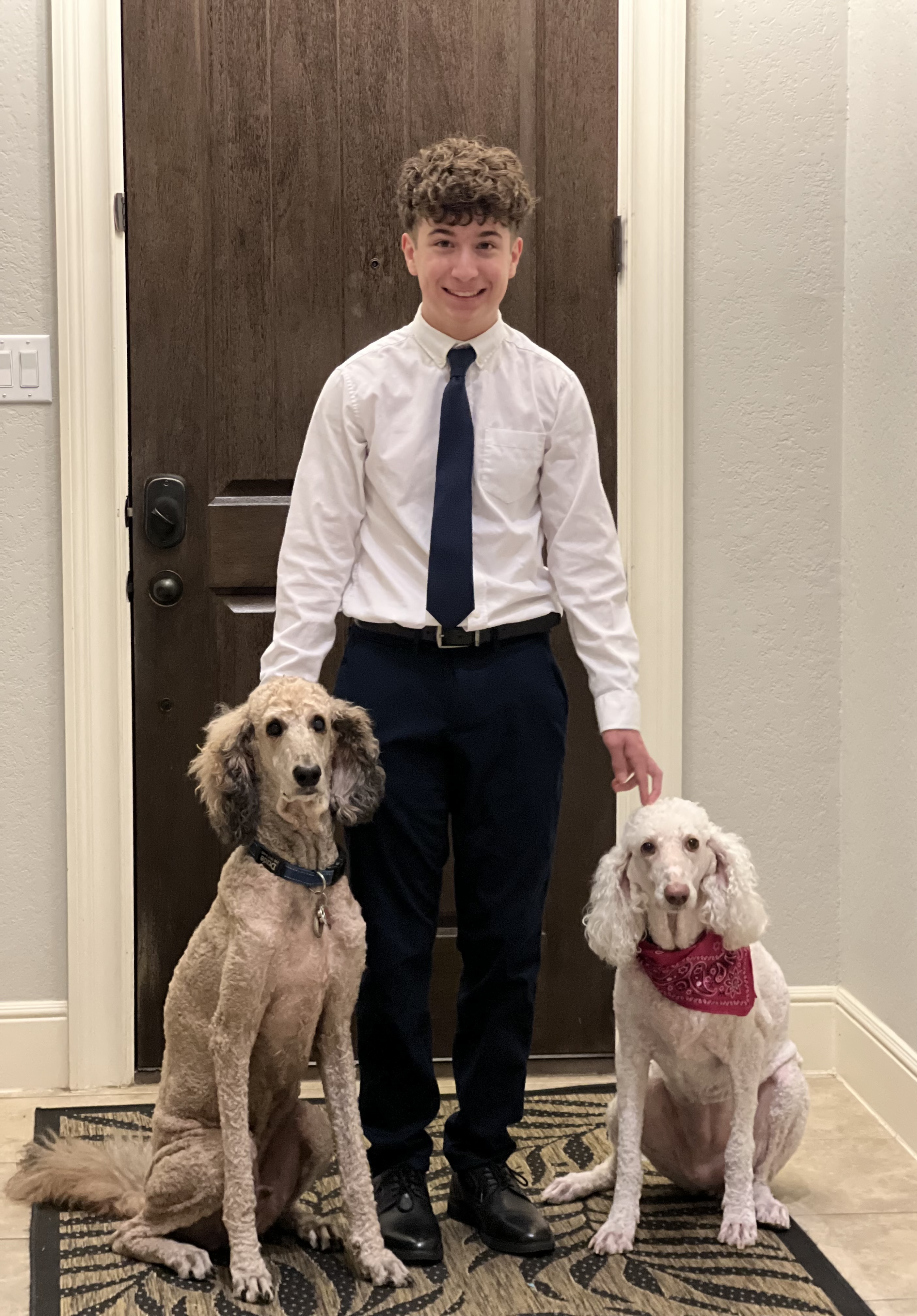 Ross with his two poodles - Professional pet sitter in Leon Springs, San Antonio